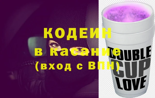 гашик Алексин