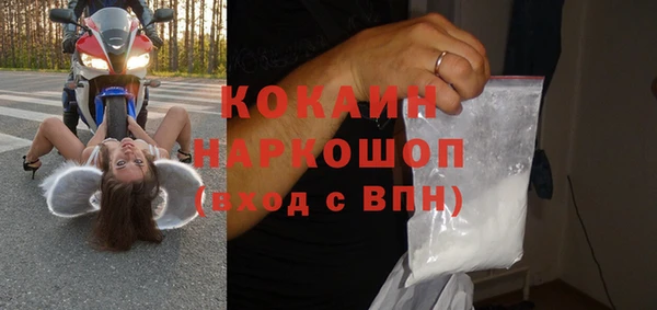 гашик Алексин