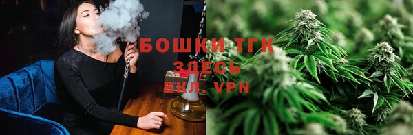 гашик Алексин