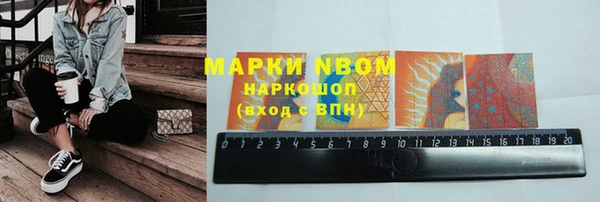 гашик Алексин