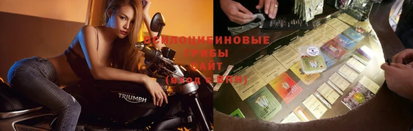 МДПВ Алексеевка