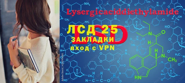 гашик Алексин