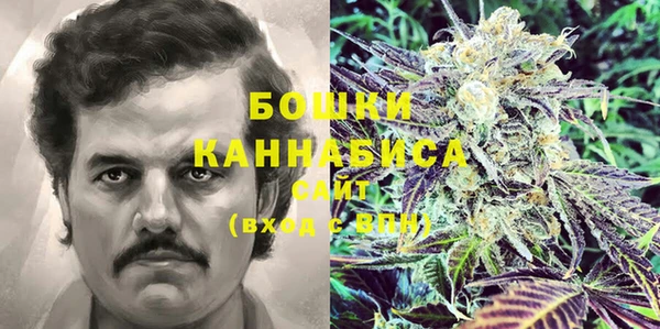 гашик Алексин
