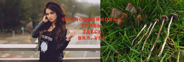 МДПВ Алексеевка
