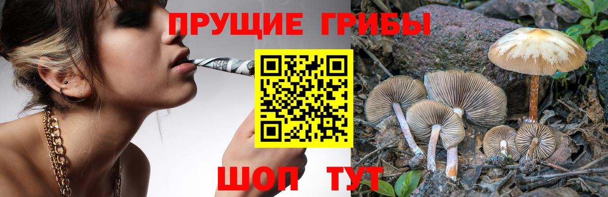 Галлюциногенные грибы мицелий Старая Русса